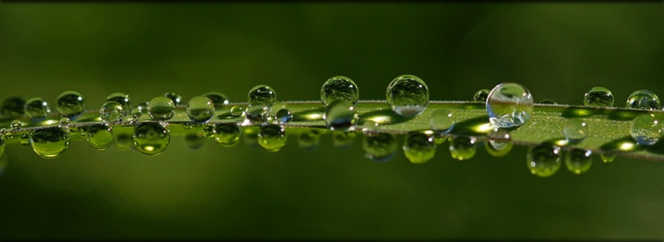 Ein Bild zum Thema Wasser