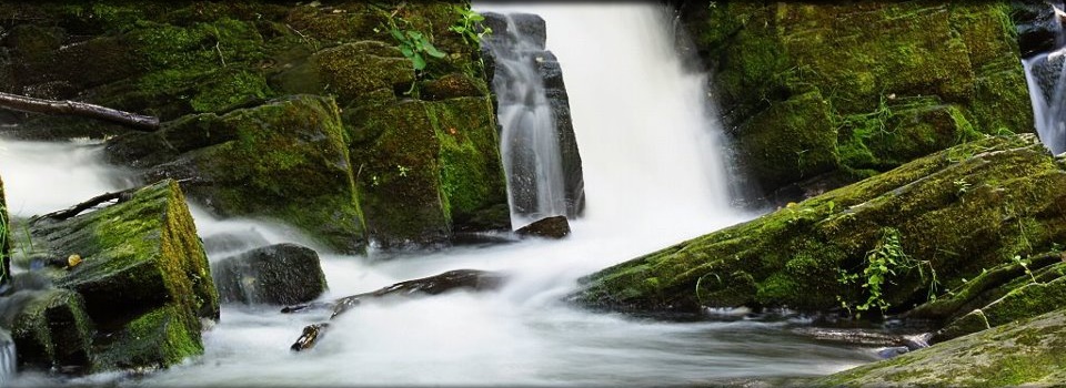 Ein Bild zum Thema Wasser