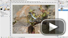 Press PLAY and LEARN - Video-Tutorials für The Gimp