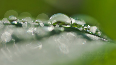 Water Drop Reflections